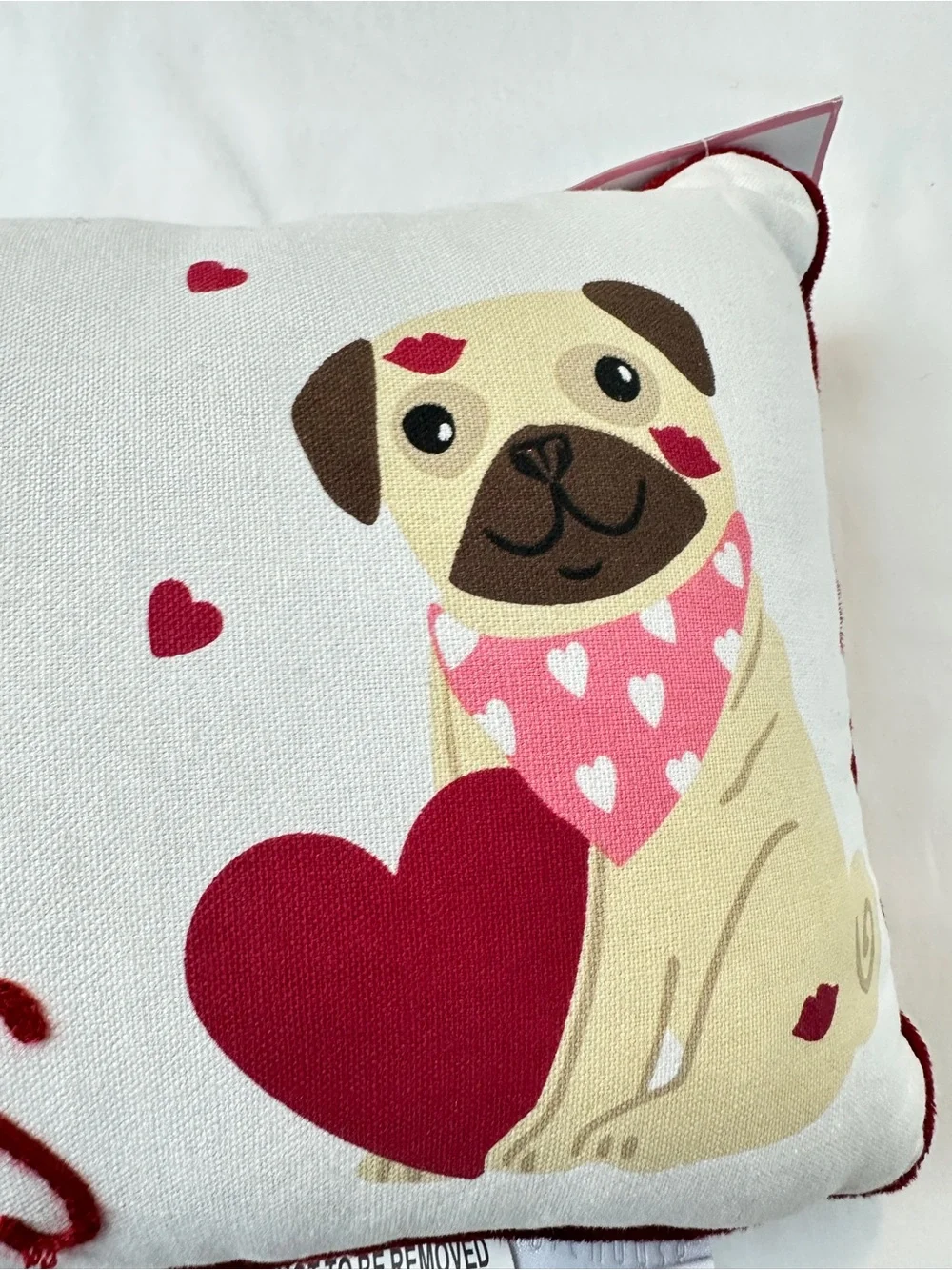 Storehouse charming pugs